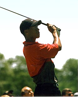 Tiger Woods in a second photograph